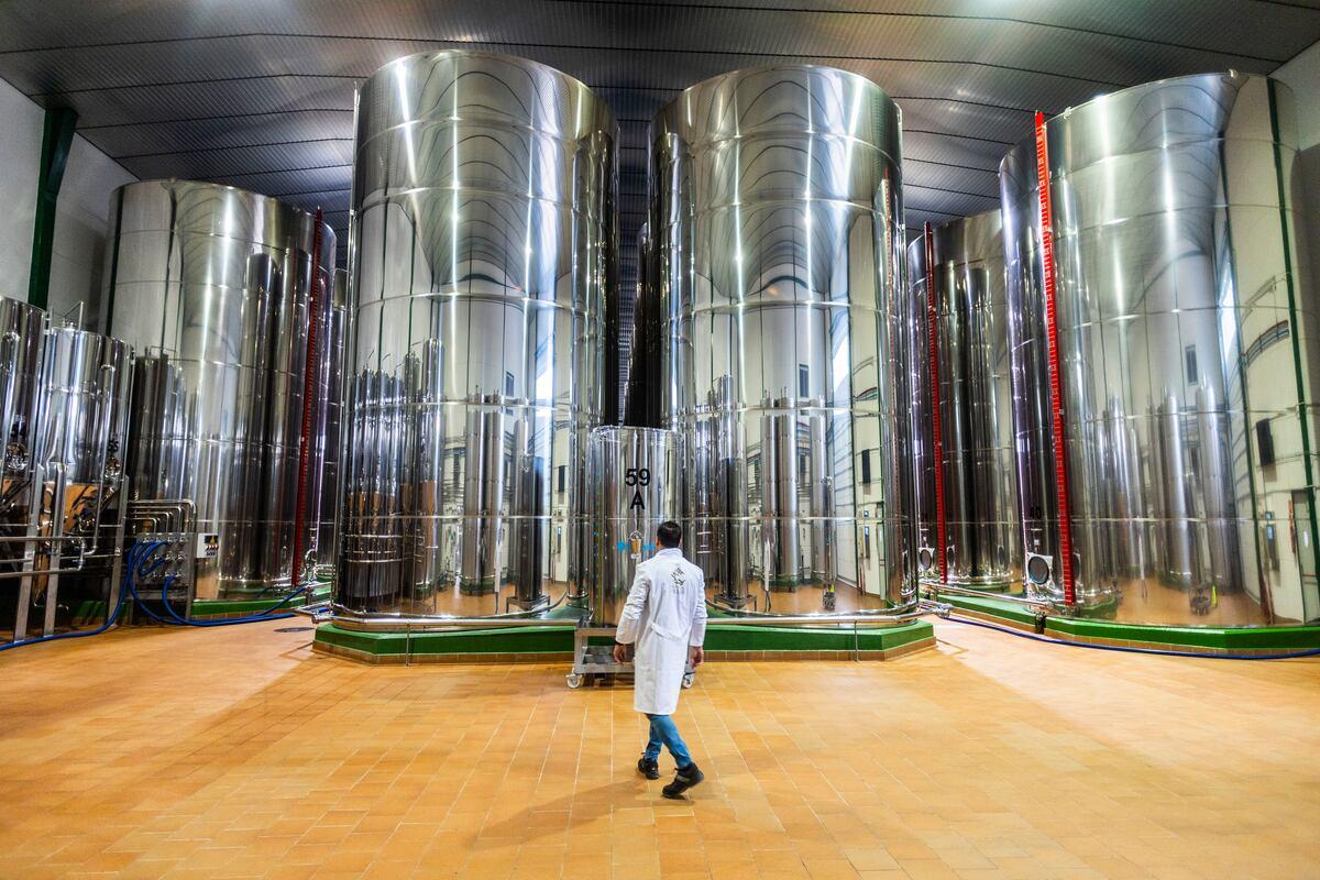 A worker in a white coat walking across the tiled floor of the storage hall at the San Vicente cooperative in Mogón, Jaén, towards tall stainless steel tanks with red level gauges, a smaller tank marked 59 A in front of them